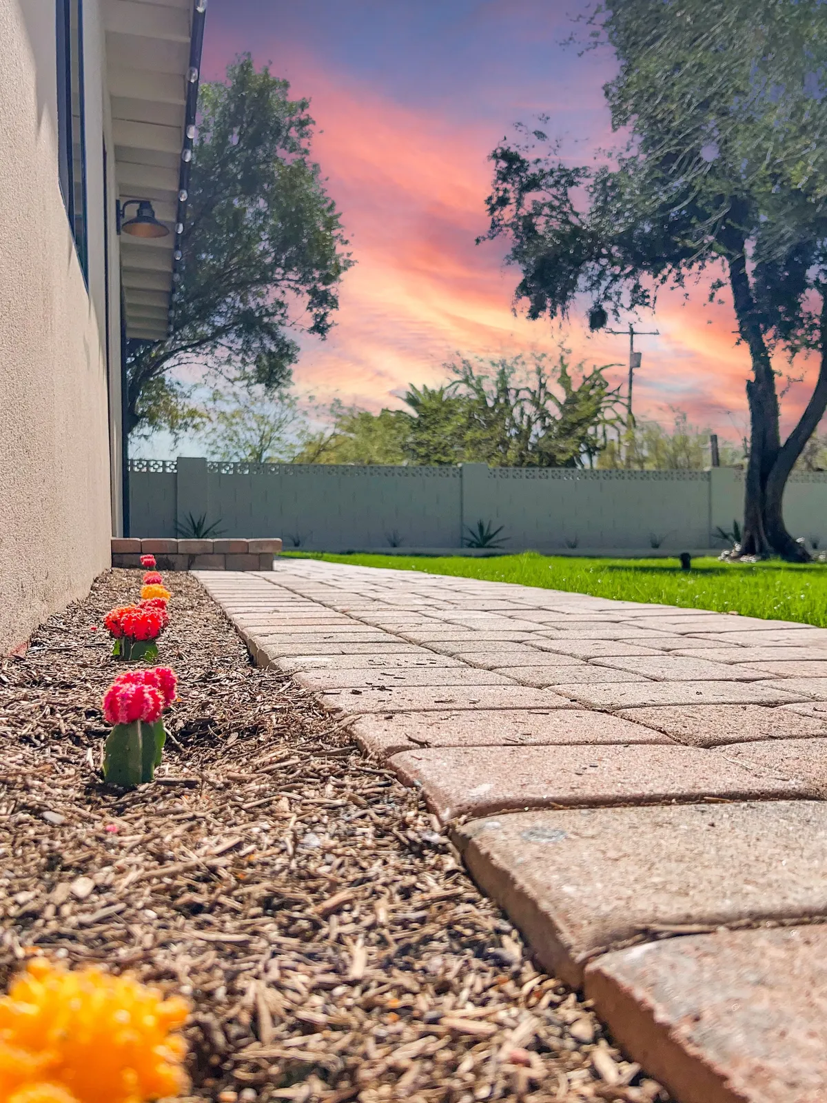 A cheerful and serene exterior scene featuring a paved pathway bordered by vibrant cacti, lush green lawn, and mature trees set against a vibrant sky. The pathway appears to lead toward the entrance, creating a welcoming first impression upon arrival.