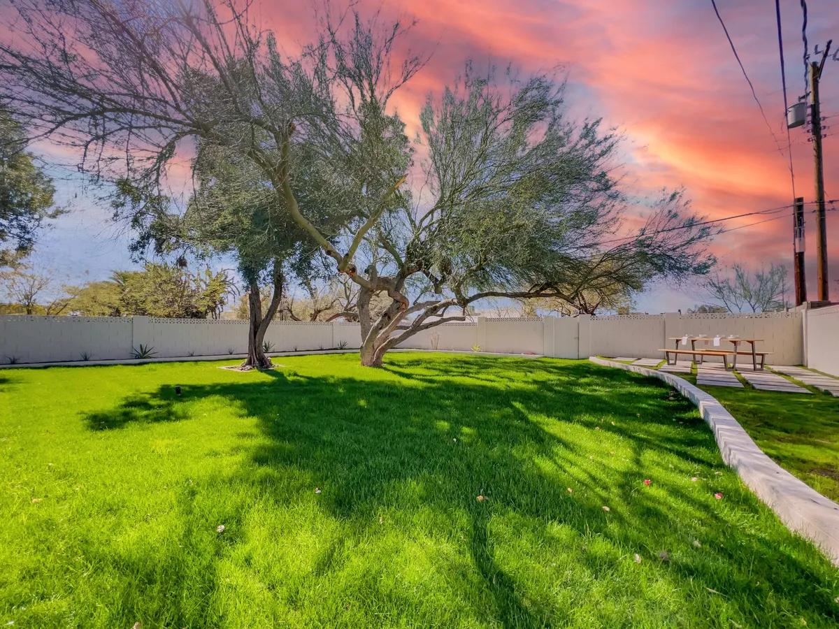 A serene corner of the backyard featuring a large tree, vibrant grass, a picnic table, and a colorful sky at dusk. The image evokes a sense of tranquility and is ideal for relaxing, picnicking, or gathering with friends and family under the tree.