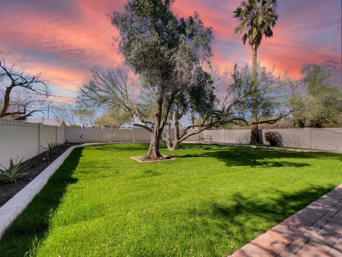 An expansive outdoor scene showcasing a lush, well-kept green lawn bordered by both a large tree and a palm tree, set against a vibrant, colorful sky. The inviting space suggests room for picnics, gatherings, and outdoor enjoyment, echoing a sense of community and connection to nature.
